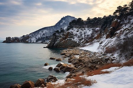 大海与雪山图片