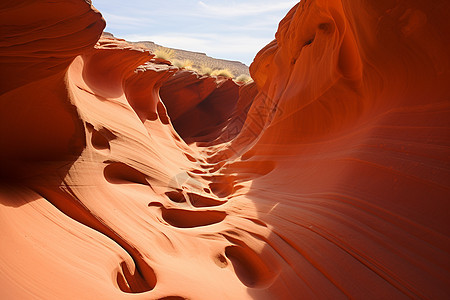 美丽的红色沙丘图片
