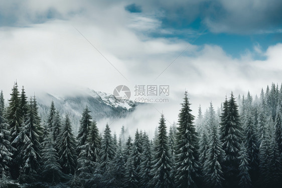 冰雪里的山林图片