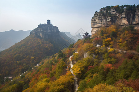 森林的秋日景色图片