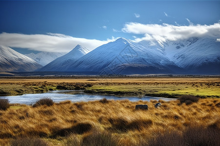 湿地山川湖泊图片