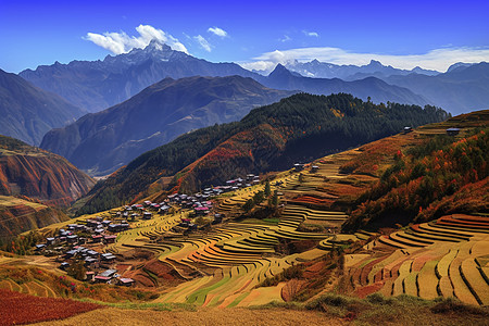 鸟瞰梯田云南山区背景