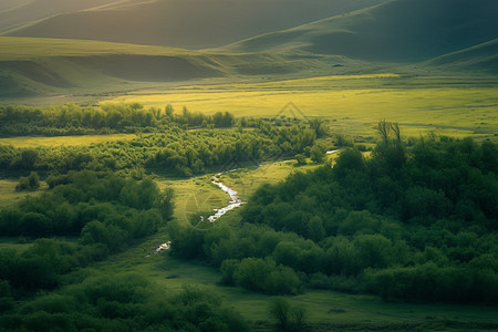绿洲中的小溪图片