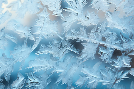 雪中的玻璃水晶图片