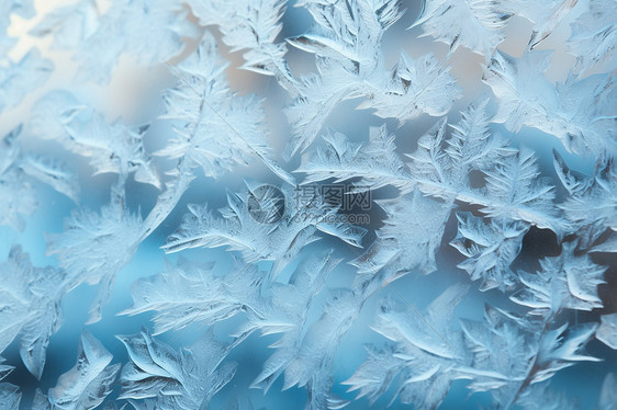 雪中的玻璃水晶图片