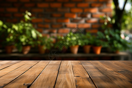室内的木桌和盆栽图片