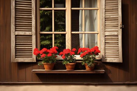 窗台上盛开的花卉图片