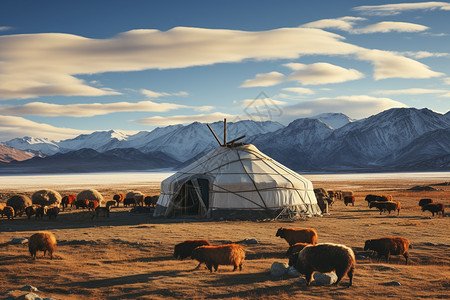 美丽的草原蒙古包图片