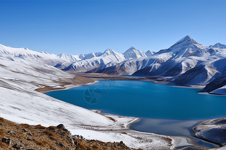 雪山映湖遥图片