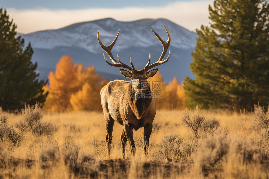 限制对手命中率创赛季新低