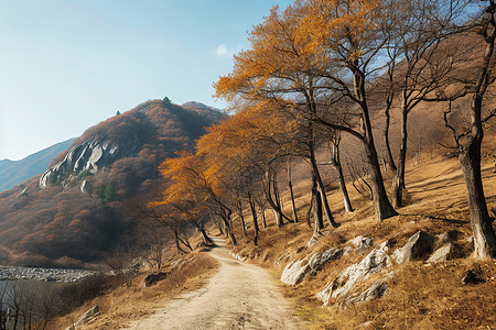 秋日山间的小径图片