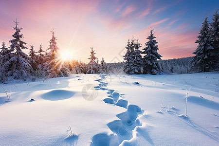 冬日雪地上的脚印图片