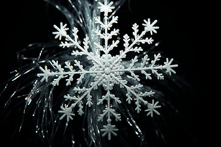 美丽的雪花形状图片