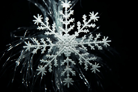 美丽的雪花形状图片