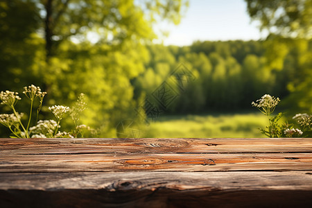 清晨阳光下的木质桌子图片