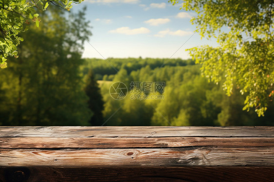 树下的木头桌子图片