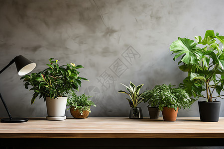 居家植物茂密的绿叶植物背景