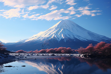 冬日晨曦下的富士山图片