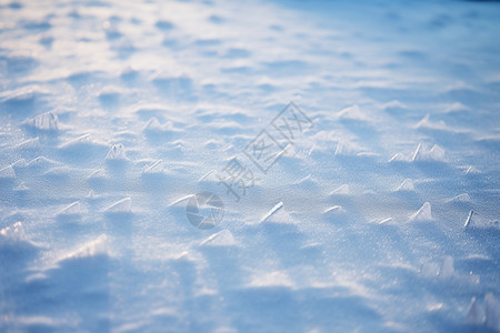 寒冷的雪地图片