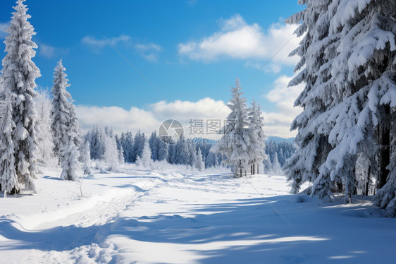 冬季美丽的雪景图片