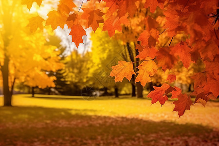 壮观秀丽的秋季公园景图片