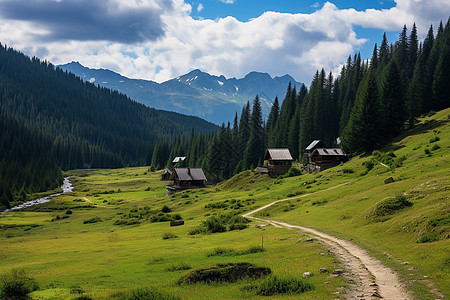 夏季森林山谷的美丽景观图片