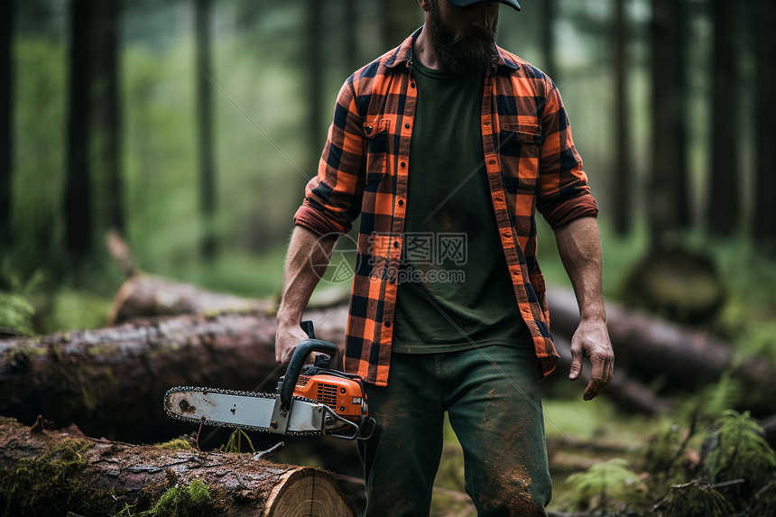 丛林中的伐木工人图片