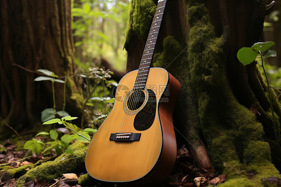 树林中的一把吉他图片