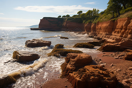 美丽的岩石沙滩景观背景图片