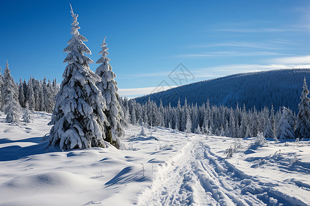 寒冷的雪山景观图片