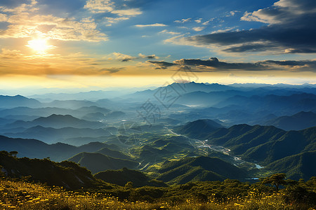 薄雾弥漫的山林景观图片