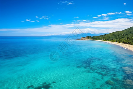 辽阔的夏季大海景观背景图片