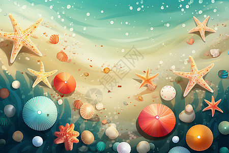 创意沙滩贝壳插图背景图片