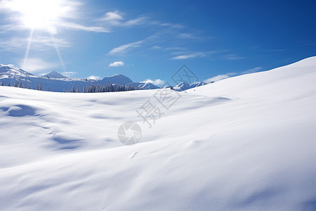 美丽的雪地图片