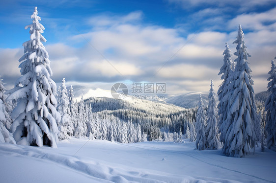 白雪皑皑的冬日图片