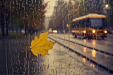 落在玻璃上的雨滴和树叶图片