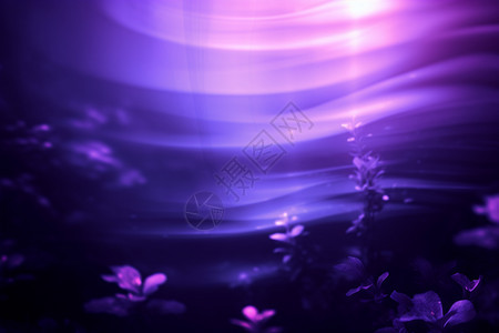 科幻的紫色背景图片