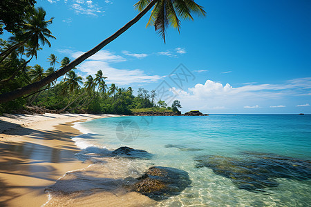 热带岛屿背景图片
