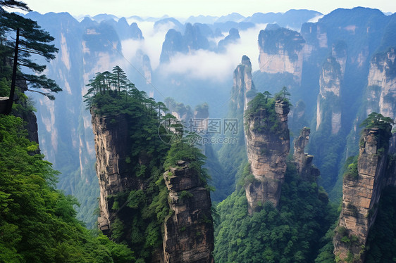 夏季的美丽的张家界风景区图片