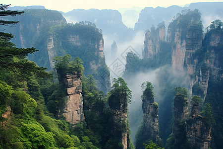 张家界美食云雾缭绕的张家界风景区背景