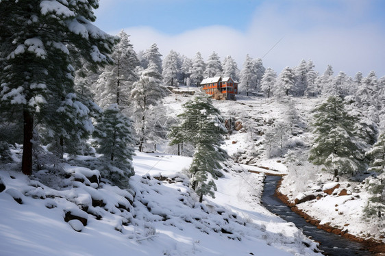 冬天山脉顶的房屋图片