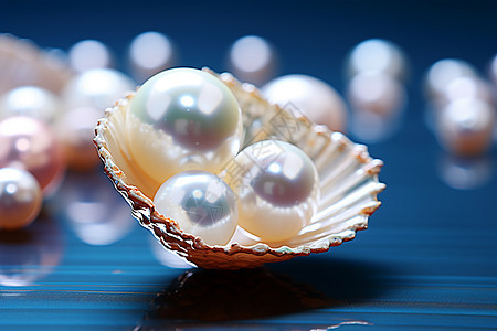 天然的珍珠贝壳图片