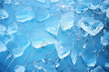 冰原下的世界图片