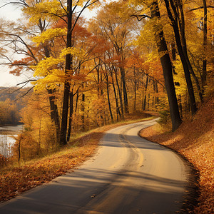 静谧的秋季山中公路图片