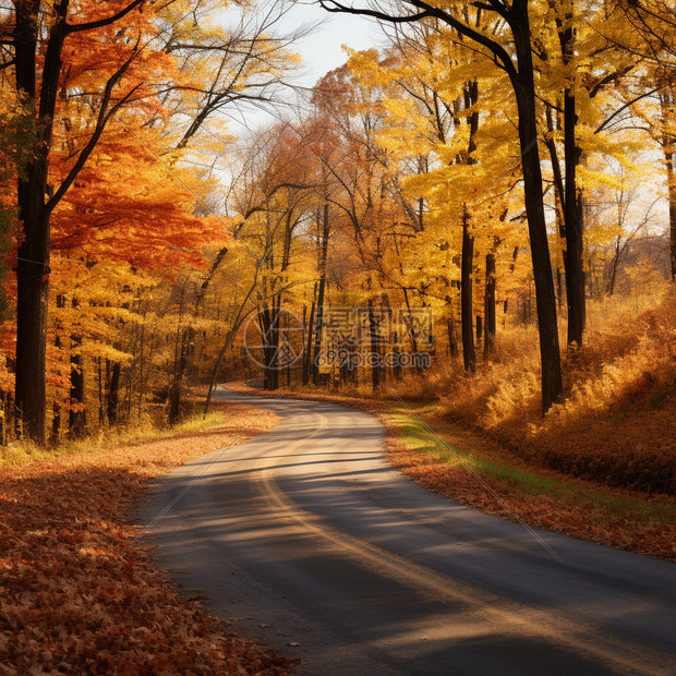 秋季山中的公路景观图片