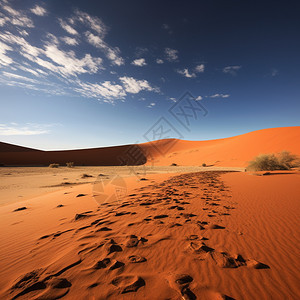 广阔的沙漠景观图片