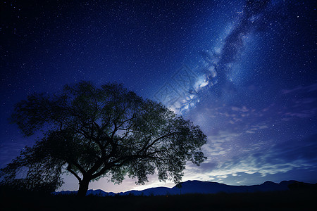 夜空下的孤独树背景图片