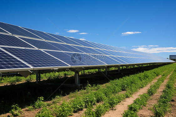 田地的太阳能发电板图片