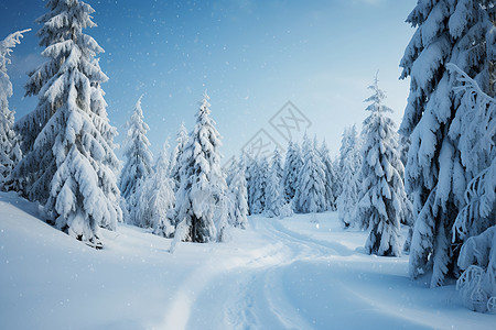 雪中仙境图片