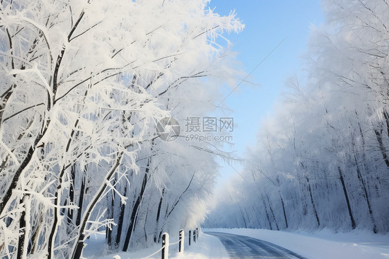 大自然的雾凇美景图片